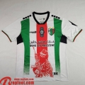 Palestine Maillots De Foot Special Edition Homme 2024 2025 TBB659