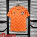 Fluminense Maillot De Foot Goalkeeper Homme 24 25 TBB505