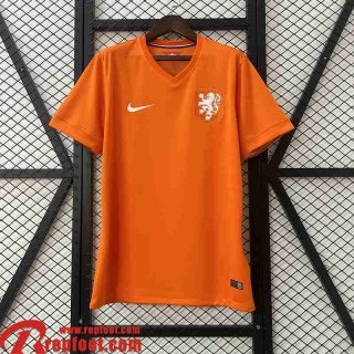 The Tangerines Retro Maillots De Foot Domicile Homme 2014 FG692