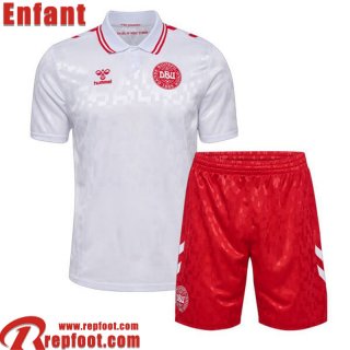 Denmark Maillot De Foot Exterieur Enfant 2024