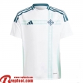 Northern Ireland Maillot De Foot Exterieur Homme 2024