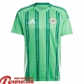 Northern Ireland Maillot De Foot Domicile Homme 2024