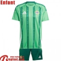 Northern Ireland Maillot De Foot Domicile Enfant 2024