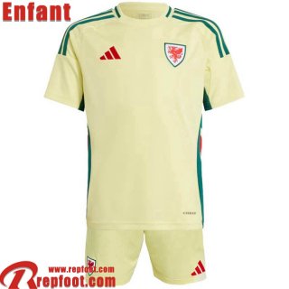 Wales Maillot De Foot Exterieur Enfant 2024