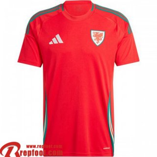 Wales Maillot De Foot Domicile Homme 2024