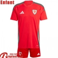 Wales Maillot De Foot Domicile Enfant 2024