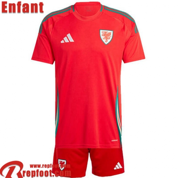 Wales Maillot De Foot Domicile Enfant 2024