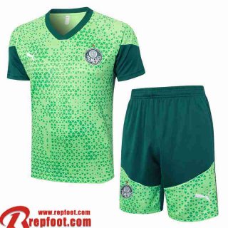 Palmeiras T Shirt Homme 2425 H143