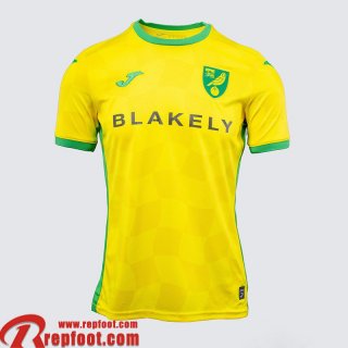 Norwich City Maillot De Foot Exterieur Homme 24 25